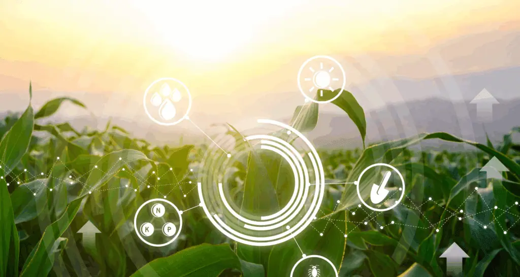 O que significa “plantar bem” em 2025?